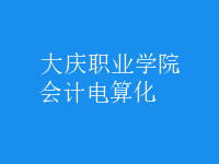會計電算化