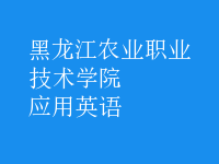 應用英語