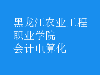 會計電算化