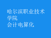 會計電算化