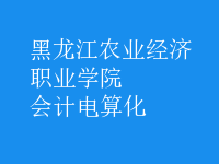 會計電算化