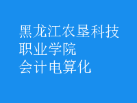 會計電算化