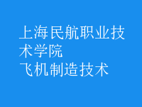 飛機制造技術