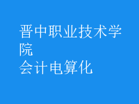 會計(jì)電算化
