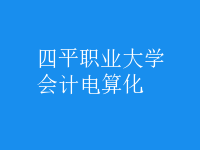 會計電算化