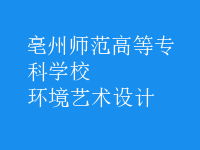 環(huán)境藝術(shù)設計