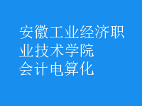 會計(jì)電算化