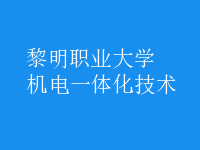 機電一體化技術(shù)