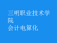 會(huì)計(jì)電算化