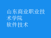 軟件技術(shù)