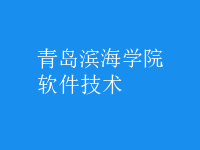 軟件技術(shù)