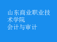 會(huì)計(jì)與審計(jì)