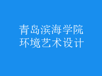 環(huán)境藝術設計