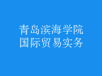 國際貿(mào)易實務