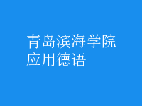 應用德語