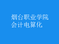 會計(jì)電算化