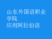 應(yīng)用阿拉伯語(yǔ)