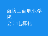 會計(jì)電算化