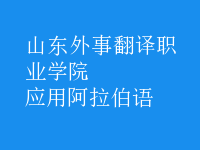 應(yīng)用阿拉伯語(yǔ)