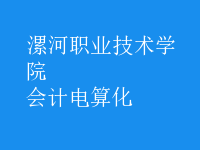 會計(jì)電算化