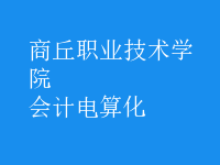 會計(jì)電算化