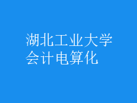 會計(jì)電算化