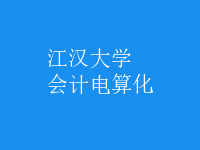 會計(jì)電算化
