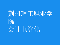 會計(jì)電算化
