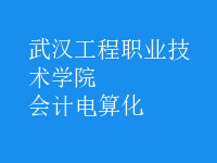 會計(jì)電算化