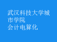 會計(jì)電算化