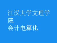 會計(jì)電算化