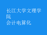 會計(jì)電算化