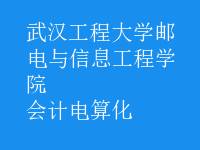 會計(jì)電算化