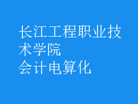 會計(jì)電算化