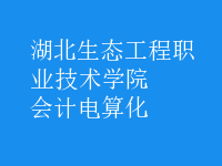 會計(jì)電算化