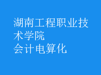 會(huì)計(jì)電算化