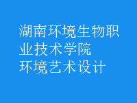 環(huán)境藝術設計
