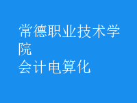 會(huì)計(jì)電算化