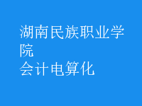 會(huì)計(jì)電算化