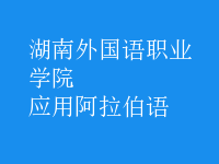 應(yīng)用阿拉伯語(yǔ)