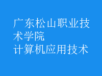 計算機(jī)應(yīng)用技術(shù)