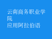 應(yīng)用阿拉伯語(yǔ)