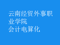 會計(jì)電算化