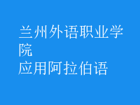 應(yīng)用阿拉伯語(yǔ)