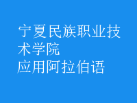 應(yīng)用阿拉伯語(yǔ)