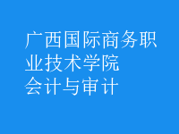 會(huì)計(jì)與審計(jì)