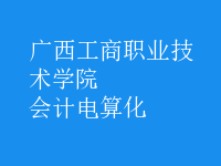 會計(jì)電算化