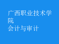 會(huì)計(jì)與審計(jì)