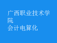 會計(jì)電算化