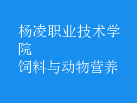 飼料與動(dòng)物營(yíng)養(yǎng)